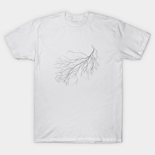 Mycelium (pencil drawing) T-Shirt by Lumot